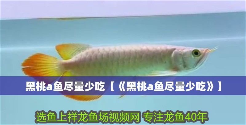 黑桃a魚盡量少吃【《黑桃a魚盡量少吃》】