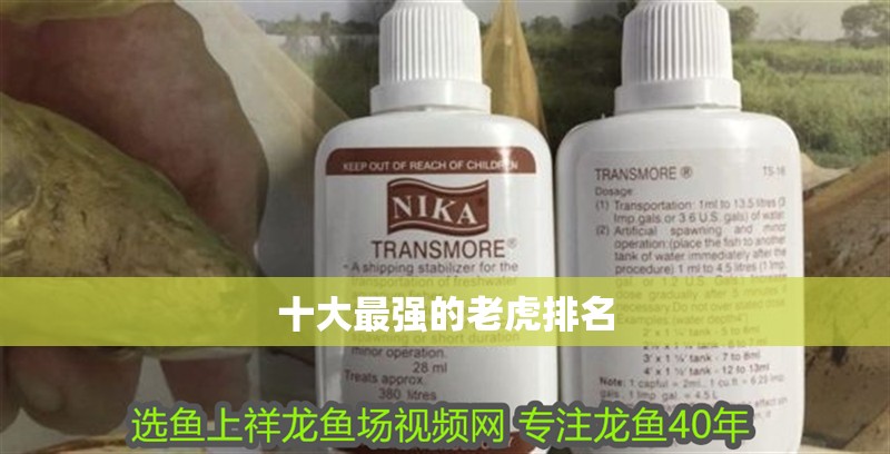 十大最強(qiáng)的老虎排名