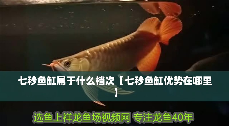 七秒魚缸屬于什么檔次【七秒魚缸優勢在哪里】