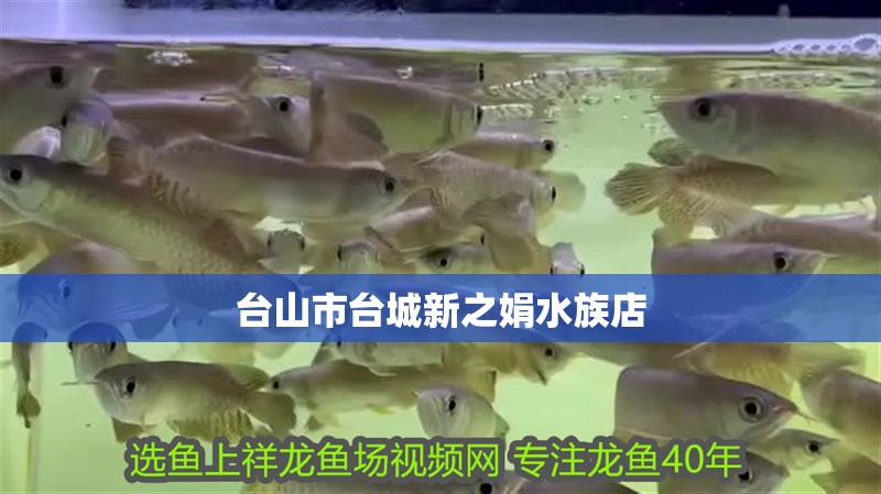 臺山市臺城新之娟水族店