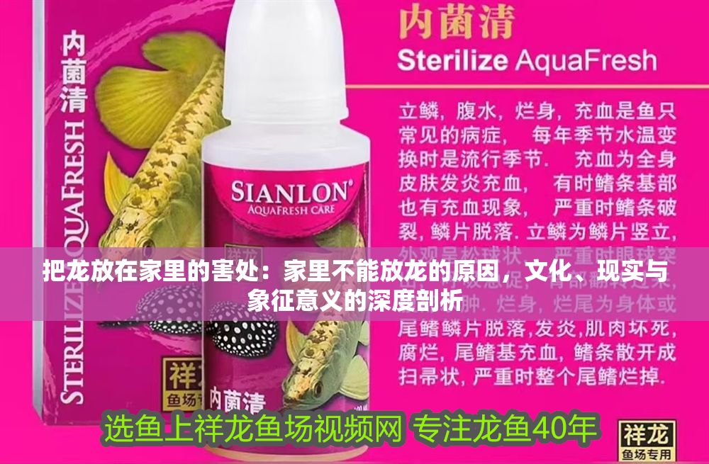 把龍放在家里的害處：家里不能放龍的原因，文化、現實與象征意義的深度剖析