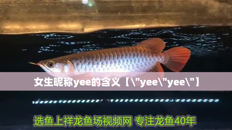 女生昵稱yee的含義【\
