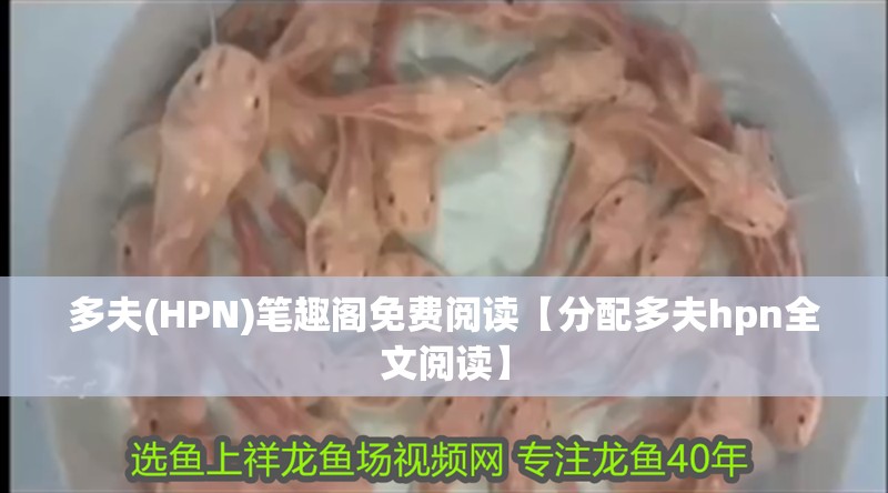 多夫(HPN)筆趣閣免費(fèi)閱讀【分配多夫hpn全文閱讀】