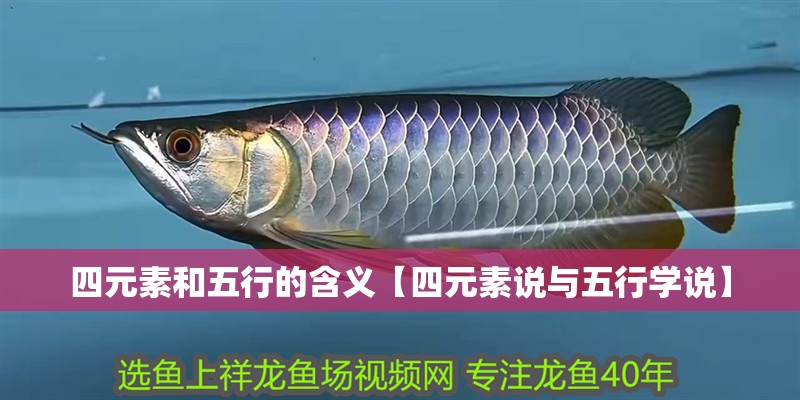 四元素和五行的含義【四元素說與五行學說】