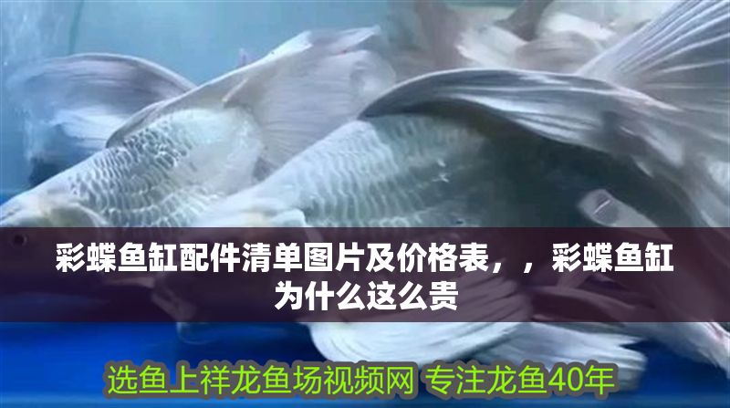 彩蝶魚缸配件清單圖片及價格表，，彩蝶魚缸為什么這么貴
