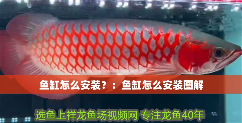魚缸怎么安裝？：魚缸怎么安裝圖解