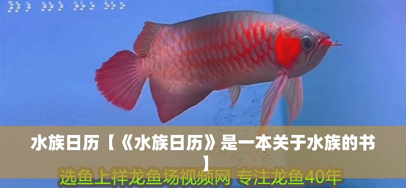 水族日歷【《水族日歷》是一本關于水族的書】