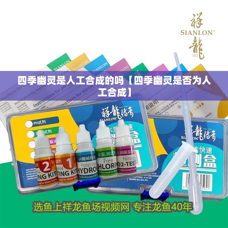 我的虎魚(yú)真菌感染了要怎么處理 四季幽靈是人工合成的嗎【四季幽靈是否為人工合成】 龍魚(yú)論壇 四季幽靈是人工合成的嗎【四季幽靈是否為人工合成】 四季幽靈是人工合成的嗎【四季幽靈是否為人工合成】 龍魚(yú)論壇