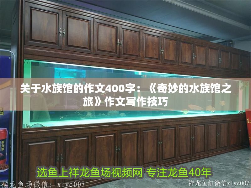 關于水族館的作文400字：《奇妙的水族館之旅》作文寫作技巧