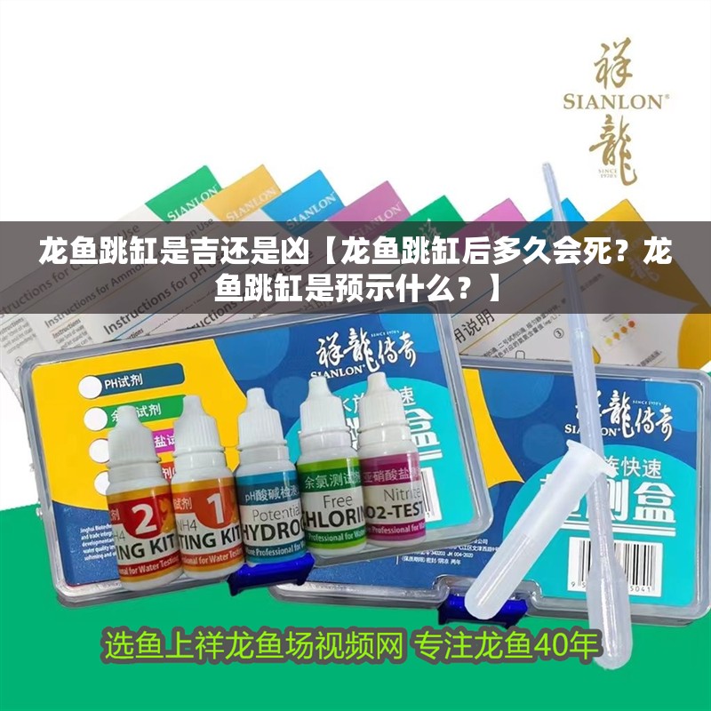 龍魚跳缸是吉還是兇【龍魚跳缸后多久會死？龍魚跳缸是預示什么？】