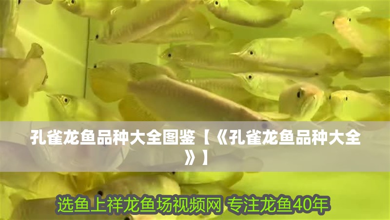 孔雀龍魚品種大全圖鑒【《孔雀龍魚品種大全》】