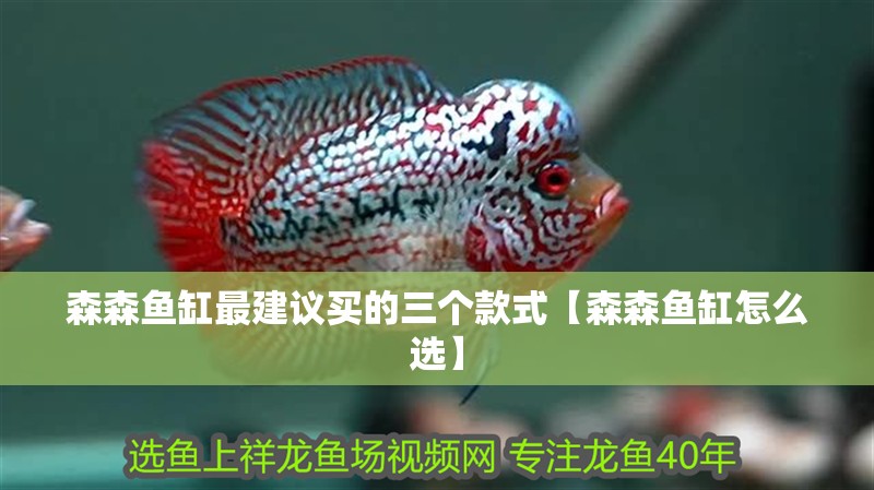 森森魚(yú)缸最建議買(mǎi)的三個(gè)款式【森森魚(yú)缸怎么選】