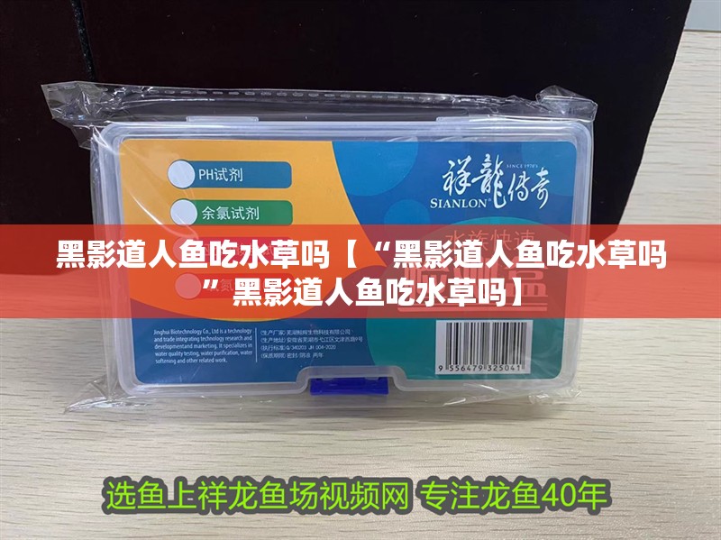 黑影道人魚吃水草嗎【“黑影道人魚吃水草嗎”黑影道人魚吃水草嗎】 黑影道人魚吃水草嗎【“黑影道人魚吃水草嗎”黑影道人魚吃水草嗎】 龍魚論壇