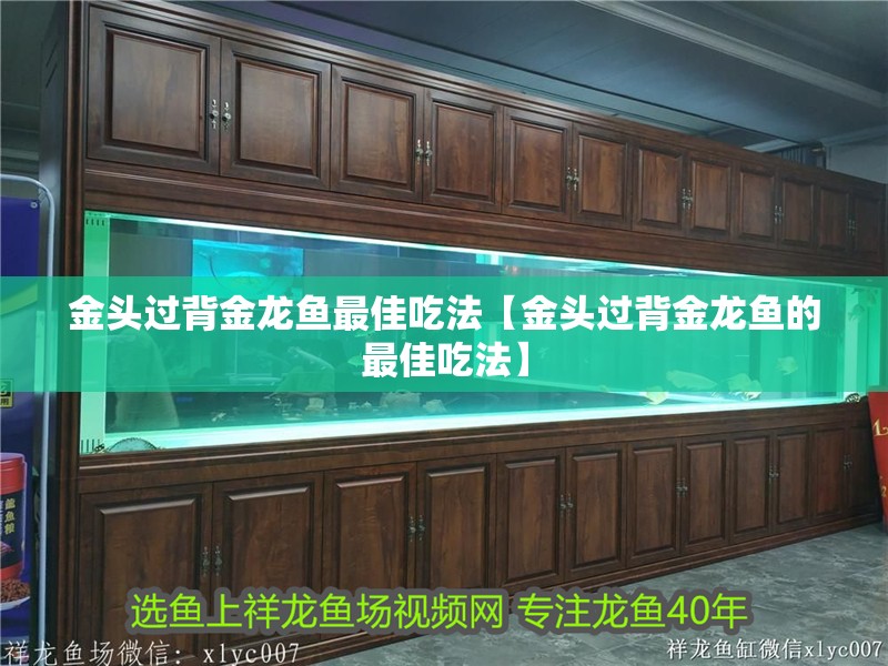 金頭過背金龍魚最佳吃法【金頭過背金龍魚的最佳吃法】