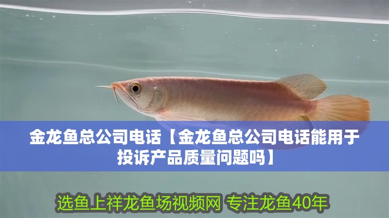 金龍魚總公司電話【金龍魚總公司電話能用于投訴產品質量問題嗎】