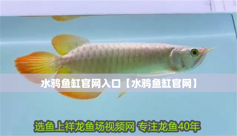 水鴉魚缸官網(wǎng)入口【水鴉魚缸官網(wǎng)】