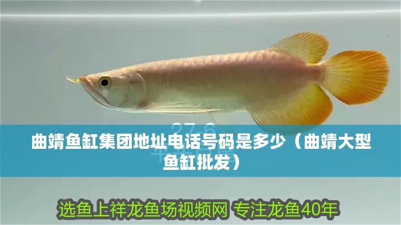 曲靖魚缸集團地址電話號碼是多少（曲靖大型魚缸批發）