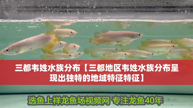 三都韋姓水族分布【三都地區韋姓水族分布呈現出獨特的地域特征特征】