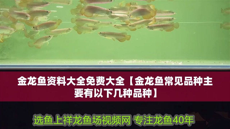 金龍魚資料大全免費大全【金龍魚常見品種主要有以下幾種品種】