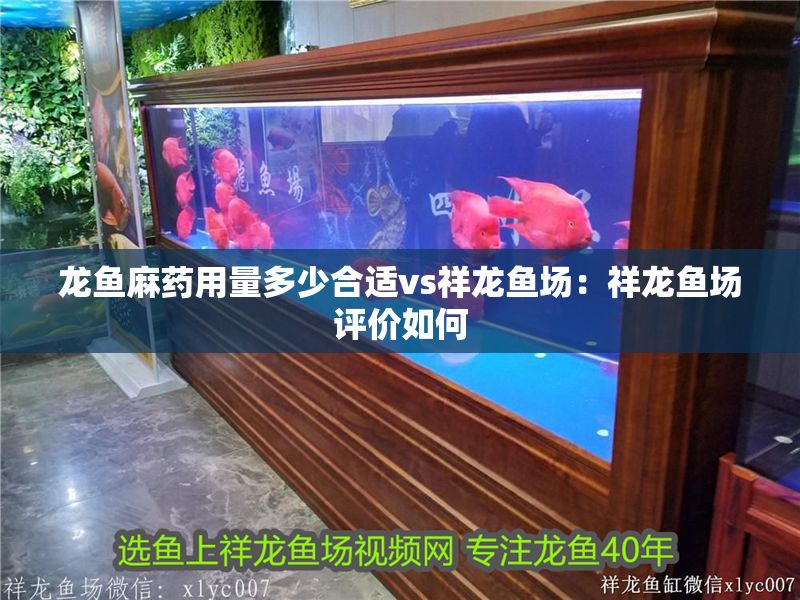 龍魚麻藥用量多少合適vs祥龍魚場：祥龍魚場評價如何