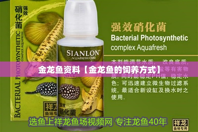 金龍魚(yú)資料【金龍魚(yú)的飼養(yǎng)方式】