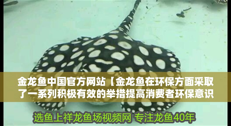 金龍魚中國官方網站【金龍魚在環(huán)保方面采取了一系列積極有效的舉措提高消費者環(huán)保意識】