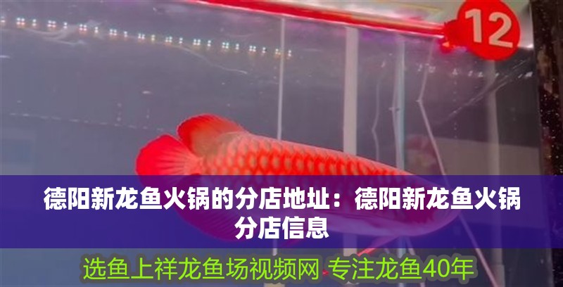 德陽(yáng)新龍魚(yú)火鍋的分店地址：德陽(yáng)新龍魚(yú)火鍋分店信息