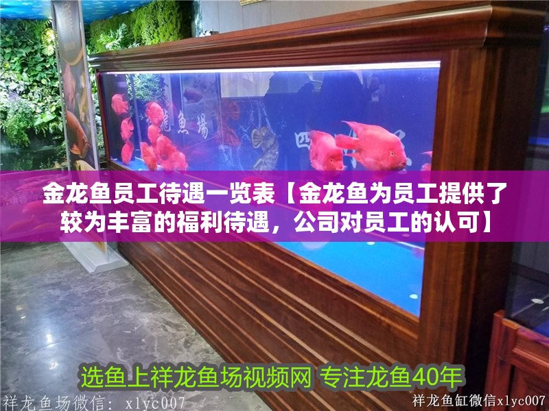 金龍魚員工待遇一覽表【金龍魚為員工提供了較為豐富的福利待遇，公司對員工的認可】