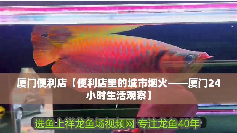 廈門便利店【便利店里的城市煙火——廈門24小時生活觀察】