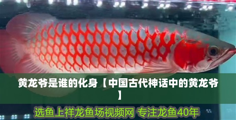 黃龍爺是誰的化身【中國古代神話中的黃龍爺】