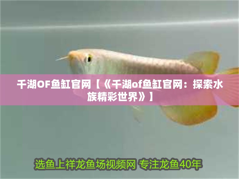 千湖OF魚缸官網【《千湖of魚缸官網：探索水族精彩世界》】