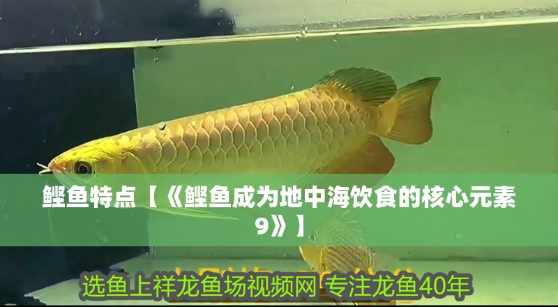 鰹魚特點【《鰹魚成為地中海飲食的核心元素9》】