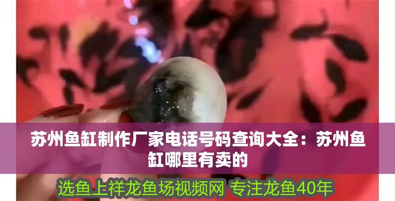 蘇州魚缸制作廠家電話號碼查詢大全：蘇州魚缸哪里有賣的