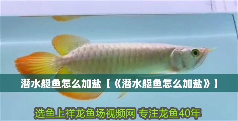 潛水艇魚怎么加鹽【《潛水艇魚怎么加鹽》】
