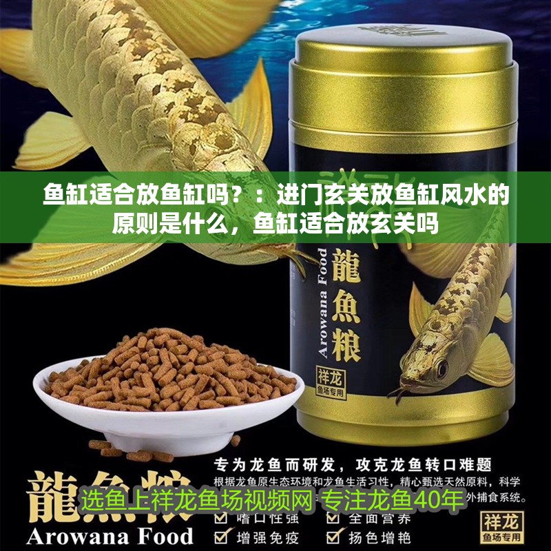 魚缸適合放魚缸嗎？：進門玄關放魚缸風水的原則是什么，魚缸適合放玄關嗎