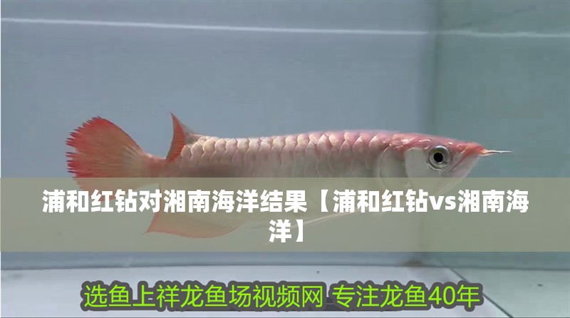 浦和紅鉆對湘南海洋結(jié)果【浦和紅鉆vs湘南海洋】