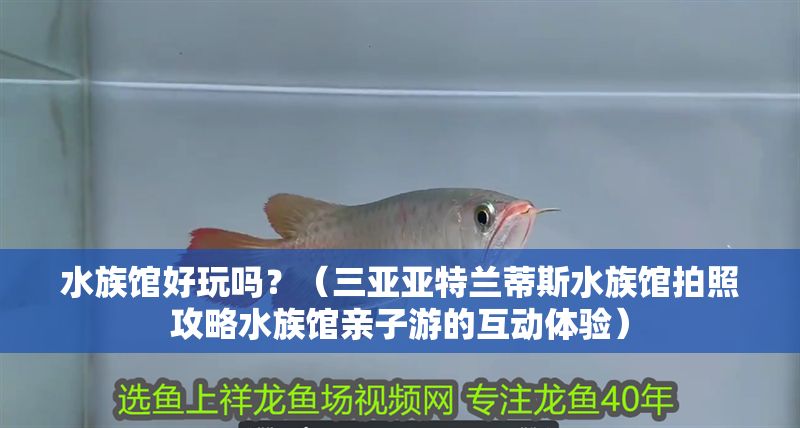 水族館好玩嗎？（三亞亞特蘭蒂斯水族館拍照攻略水族館親子游的互動體驗(yàn)）