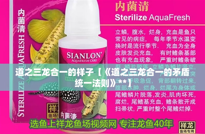 道之三龍合一的樣子【《道之三龍合一的矛盾統(tǒng)一法則》**】