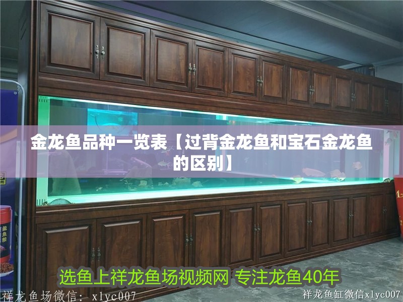 金龍魚品種一覽表【過背金龍魚和寶石金龍魚的區別】