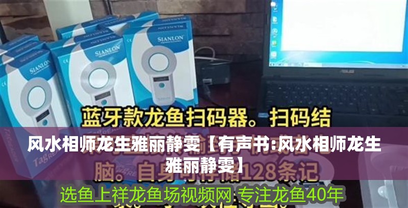 風水相師龍生雅麗靜雯【有聲書:風水相師龍生雅麗靜雯】