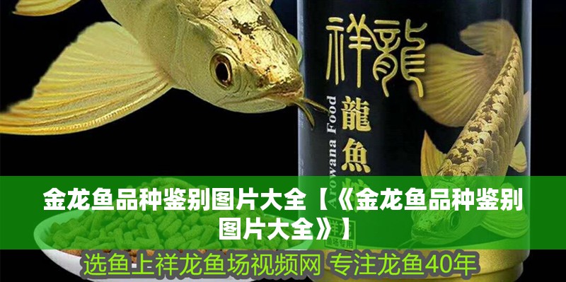 金龍魚品種鑒別圖片大全【《金龍魚品種鑒別圖片大全》】