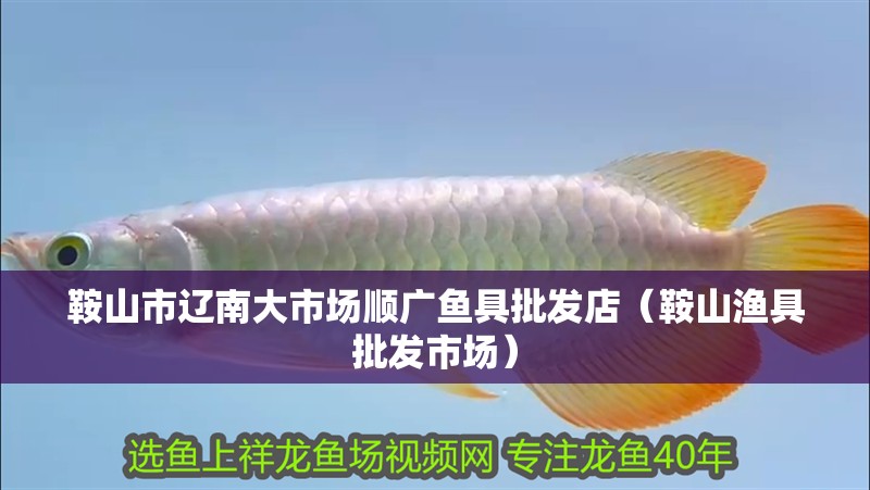 鞍山市遼南大市場(chǎng)順廣魚具批發(fā)店（鞍山漁具批發(fā)市場(chǎng)）