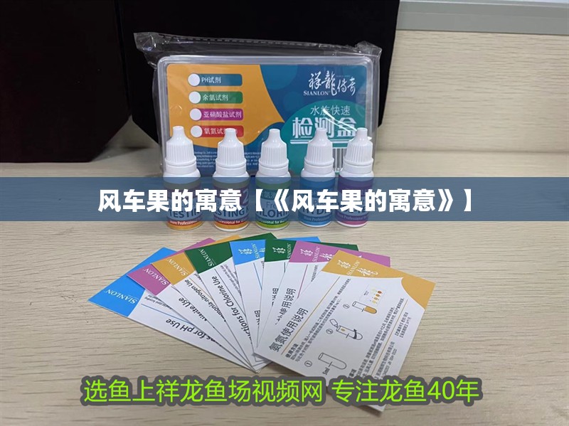 風(fēng)車果的寓意【《風(fēng)車果的寓意》】