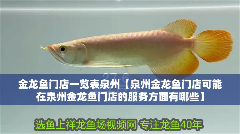 金龍魚門店一覽表泉州【泉州金龍魚門店可能在泉州金龍魚門店的服務方面有哪些】