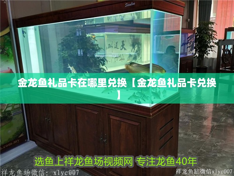 金龍魚禮品卡在哪里兌換【金龍魚禮品卡兌換】