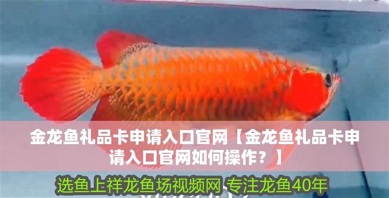 金龍魚禮品卡申請入口官網(wǎng)【金龍魚禮品卡申請入口官網(wǎng)如何操作？】