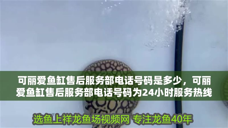 可麗愛魚缸售后服務(wù)部電話號(hào)碼是多少，可麗愛魚缸售后服務(wù)部電話號(hào)碼為24小時(shí)服務(wù)熱線