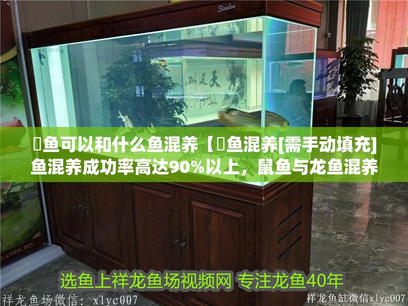 魟魚可以和什么魚混養【魟魚混養[需手動填充]魚混養成功率高達90%以上，鼠魚與龍魚混養】