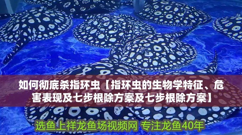 如何徹底殺指環(huán)蟲【指環(huán)蟲的生物學特征、危害表現(xiàn)及七步根除方案及七步根除方案】