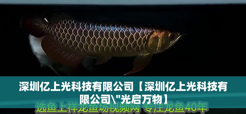 深圳億上光科技有限公司【深圳億上光科技有限公司\